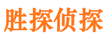 偃师找人公司